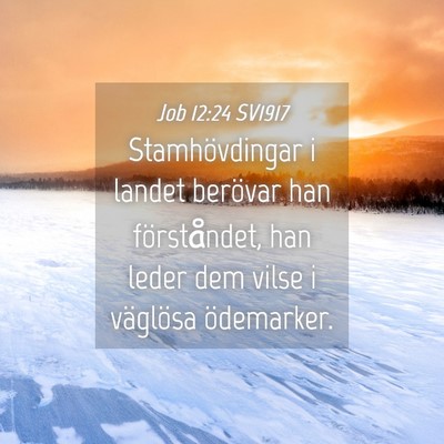 Picture 04 - Job 12:24 SV1917 - Stamhövdingar i landet berövar han - Bible Verse Picture