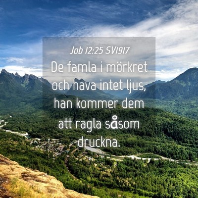 Picture 04 - Job 12:25 SV1917 - De famla i mörkret och hava intet ljus, han - Bible Verse Picture