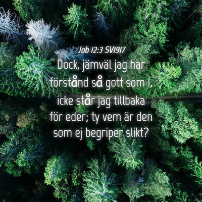 Picture 04 - Job 12:3 SV1917 - Dock, jämväl jag har förstånd så gott som I, - Bible Verse Picture