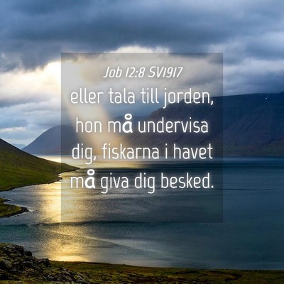 Picture 04 - Job 12:8 SV1917 - eller tala till jorden, hon må undervisa dig, - Bible Verse Picture