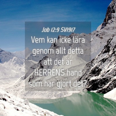 Picture 04 - Job 12:9 SV1917 - Vem kan icke lära genom allt detta att det är - Bible Verse Picture