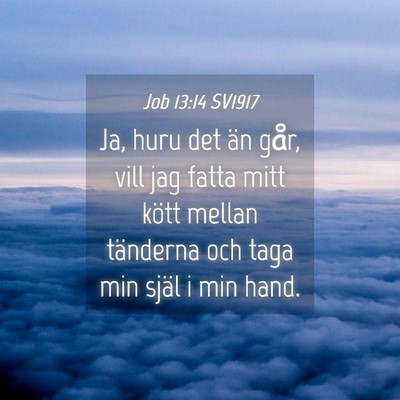 Picture 04 - Job 13:14 SV1917 - Ja, huru det än går, vill jag fatta mitt kött - Bible Verse Picture