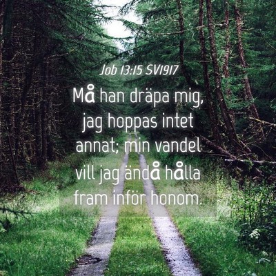 Picture 04 - Job 13:15 SV1917 - Må han dräpa mig, jag hoppas intet annat; min - Bible Verse Picture