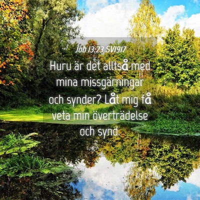 Picture 04 - Job 13:23 SV1917 - Huru är det alltså med mina missgärningar och - Bible Verse Picture