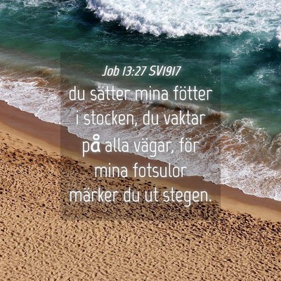 Picture 04 - Job 13:27 SV1917 - du sätter mina fötter i stocken, du vaktar på - Bible Verse Picture