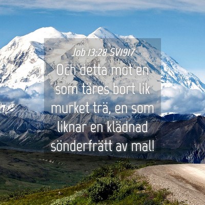 Picture 04 - Job 13:28 SV1917 - Och detta mot en som täres bort lik murket trä, - Bible Verse Picture