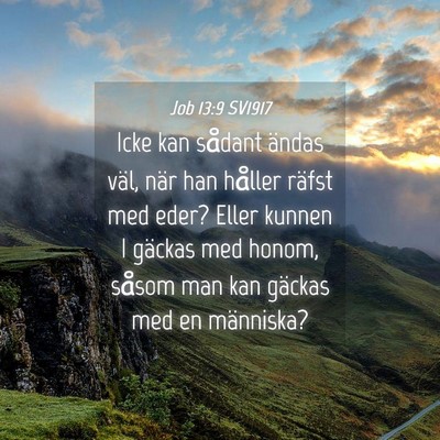 Picture 04 - Job 13:9 SV1917 - Icke kan sådant ändas väl, när han håller - Bible Verse Picture