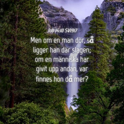 Picture 04 - Job 14:10 SV1917 - Men om en man dör, så ligger han där slagen; - Bible Verse Picture