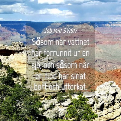 Picture 04 - Job 14:11 SV1917 - Såsom när vattnet har förrunnit ur en sjö, - Bible Verse Picture