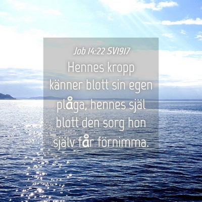Picture 04 - Job 14:22 SV1917 - Hennes kropp känner blott sin egen plåga, - Bible Verse Picture