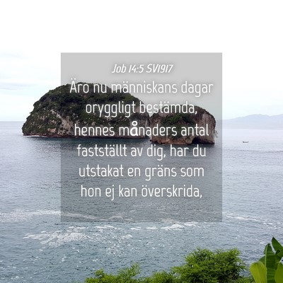 Picture 04 - Job 14:5 SV1917 - Äro nu människans dagar oryggligt bestämda, - Bible Verse Picture