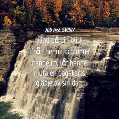 Picture 04 - Job 14:6 SV1917 - vänd då din blick ifrån henne och unna henne - Bible Verse Picture