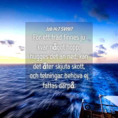 Picture 04 - Job 14:7 SV1917 - För ett träd finnes ju kvar något hopp; hugges - Bible Verse Picture
