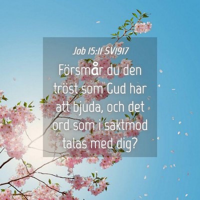 Picture 04 - Job 15:11 SV1917 - Försmår du den tröst som Gud har att bjuda, - Bible Verse Picture