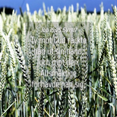 Picture 04 - Job 15:25 SV1917 - Ty mot Gud räckte han ut sin hand, och mot den - Bible Verse Picture