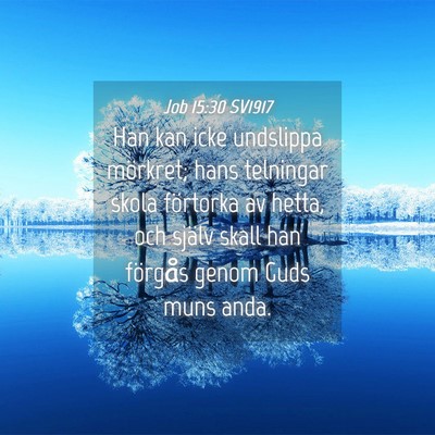 Picture 04 - Job 15:30 SV1917 - Han kan icke undslippa mörkret; hans telningar - Bible Verse Picture