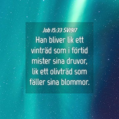 Picture 04 - Job 15:33 SV1917 - Han bliver lik ett vinträd som i förtid mister - Bible Verse Picture