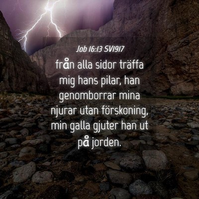 Picture 04 - Job 16:13 SV1917 - från alla sidor träffa mig hans pilar, han - Bible Verse Picture