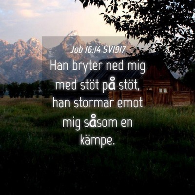 Picture 04 - Job 16:14 SV1917 - Han bryter ned mig med stöt på stöt, han - Bible Verse Picture