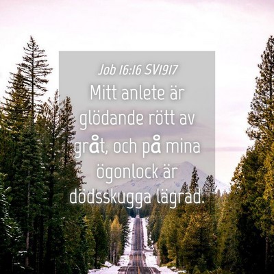 Picture 04 - Job 16:16 SV1917 - Mitt anlete är glödande rött av gråt, och på - Bible Verse Picture