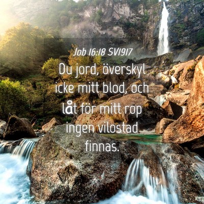 Picture 04 - Job 16:18 SV1917 - Du jord, överskyl icke mitt blod, och låt för - Bible Verse Picture