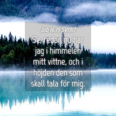 Picture 04 - Job 16:19 SV1917 - Se, redan nu har jag i himmelen mitt vittne, och - Bible Verse Picture