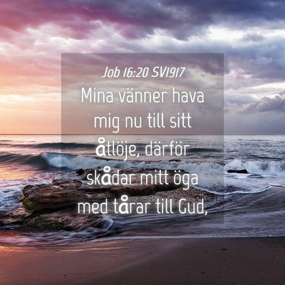 Picture 04 - Job 16:20 SV1917 - Mina vänner hava mig nu till sitt åtlöje, - Bible Verse Picture