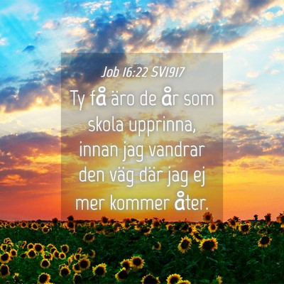 Picture 04 - Job 16:22 SV1917 - Ty få äro de år som skola upprinna, innan jag - Bible Verse Picture