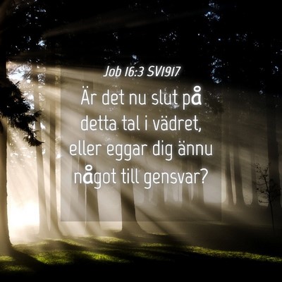Picture 04 - Job 16:3 SV1917 - Är det nu slut på detta tal i vädret, eller - Bible Verse Picture