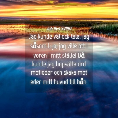 Picture 04 - Job 16:4 SV1917 - Jag kunde väl ock tala, jag såsom I; ja, jag - Bible Verse Picture