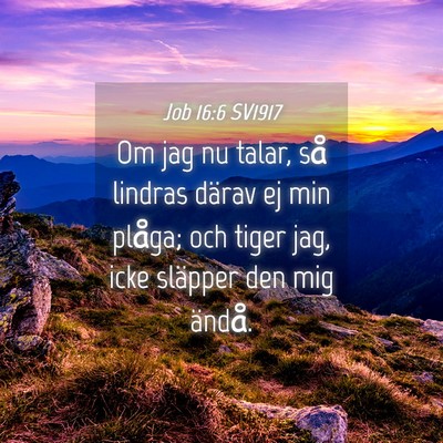Picture 04 - Job 16:6 SV1917 - Om jag nu talar, så lindras därav ej min - Bible Verse Picture