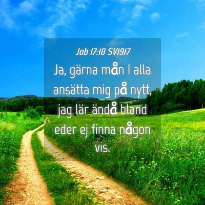 Picture 04 - Job 17:10 SV1917 - Ja, gärna mån I alla ansätta mig på nytt, jag - Bible Verse Picture