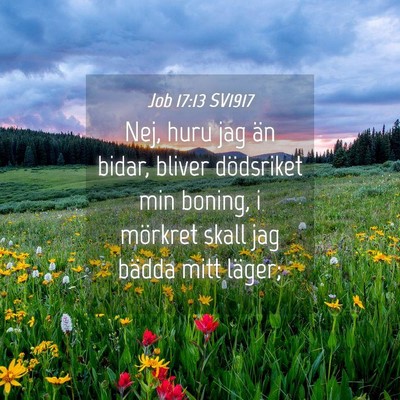 Picture 04 - Job 17:13 SV1917 - Nej, huru jag än bidar, bliver dödsriket min - Bible Verse Picture