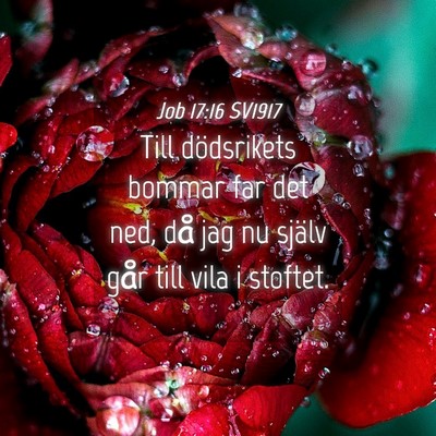 Picture 04 - Job 17:16 SV1917 - Till dödsrikets bommar far det ned, då jag nu - Bible Verse Picture