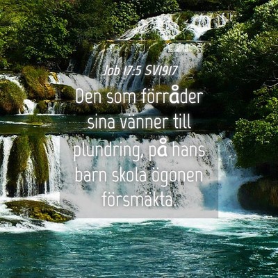 Picture 04 - Job 17:5 SV1917 - Den som förråder sina vänner till plundring, - Bible Verse Picture