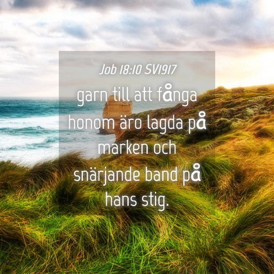 Picture 04 - Job 18:10 SV1917 - garn till att fånga honom äro lagda på marken - Bible Verse Picture