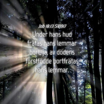 Picture 04 - Job 18:13 SV1917 - Under hans hud frätas hans lemmar bort, ja, av - Bible Verse Picture