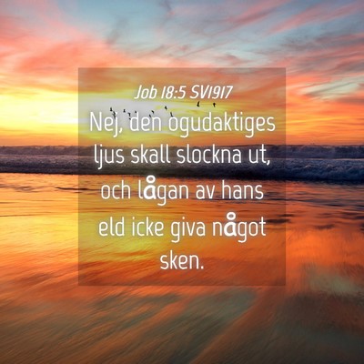 Picture 04 - Job 18:5 SV1917 - Nej, den ogudaktiges ljus skall slockna ut, och - Bible Verse Picture