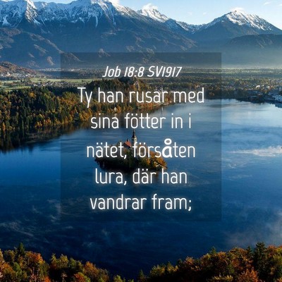 Picture 04 - Job 18:8 SV1917 - Ty han rusar med sina fötter in i nätet, - Bible Verse Picture