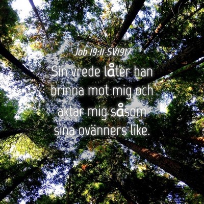 Picture 04 - Job 19:11 SV1917 - Sin vrede låter han brinna mot mig och aktar mig - Bible Verse Picture