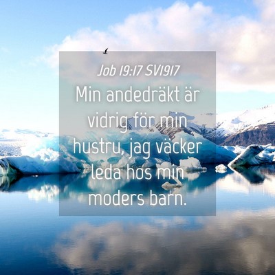 Picture 04 - Job 19:17 SV1917 - Min andedräkt är vidrig för min hustru, jag - Bible Verse Picture