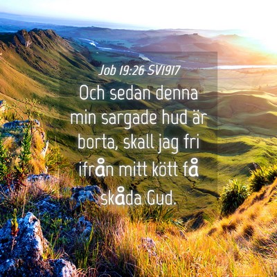 Picture 04 - Job 19:26 SV1917 - Och sedan denna min sargade hud är borta, skall - Bible Verse Picture