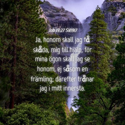 Picture 04 - Job 19:27 SV1917 - Ja, honom skall jag få skåda, mig till hjälp, - Bible Verse Picture