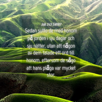 Picture 04 - Job 2:13 SV1917 - Sedan sutto de med honom på jorden i sju dagar - Bible Verse Picture
