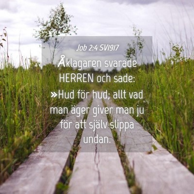 Picture 04 - Job 2:4 SV1917 - Åklagaren svarade HERREN och sade: »Hud för - Bible Verse Picture
