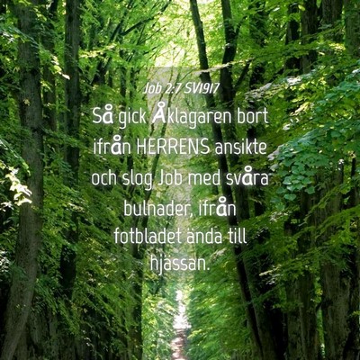 Picture 04 - Job 2:7 SV1917 - Så gick Åklagaren bort ifrån HERRENS ansikte - Bible Verse Picture