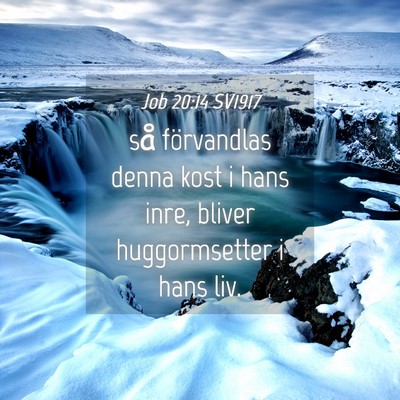 Picture 04 - Job 20:14 SV1917 - så förvandlas denna kost i hans inre, bliver - Bible Verse Picture