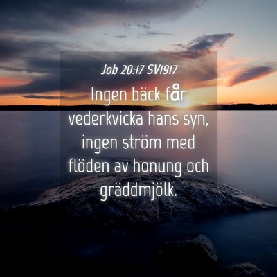 Picture 04 - Job 20:17 SV1917 - Ingen bäck får vederkvicka hans syn, ingen - Bible Verse Picture