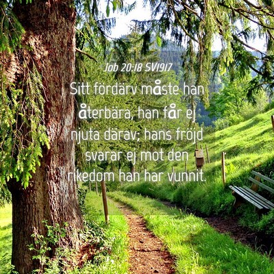 Picture 04 - Job 20:18 SV1917 - Sitt fördärv måste han återbära, han får ej - Bible Verse Picture