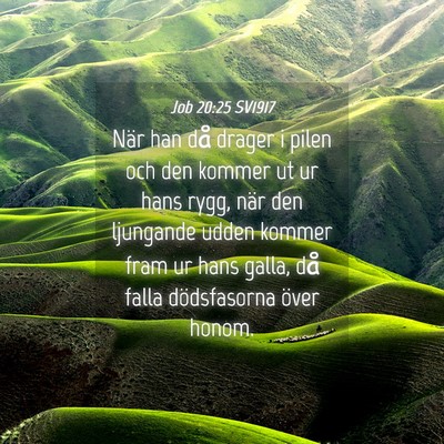 Picture 04 - Job 20:25 SV1917 - När han då drager i pilen och den kommer ut ur - Bible Verse Picture